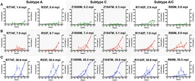 VH1-69 Utilizing Antibodies Are Capable of Mediating Non-neutralizing Fc-Mediated Effector Functions Against the Transmitted/Founder gp120